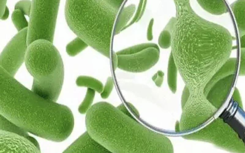 Postbiotics Heat-Treated Probiotics 3 Postbiotics Heat-Treated Probiotics 3