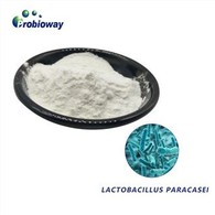 Liofilizirani Lactobacillus Paracasei