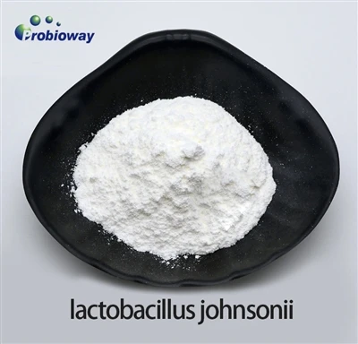 Lactobacillus Johnsonii predvodi novi trend s novim proizvodima koji će vam p...