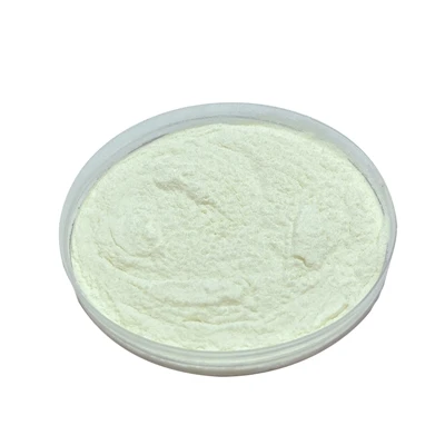 Šta radi Lactobacillus Paracasei?