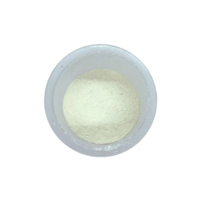 Bacillus Coagulans