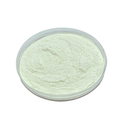 Lactobacillus Plantarum
